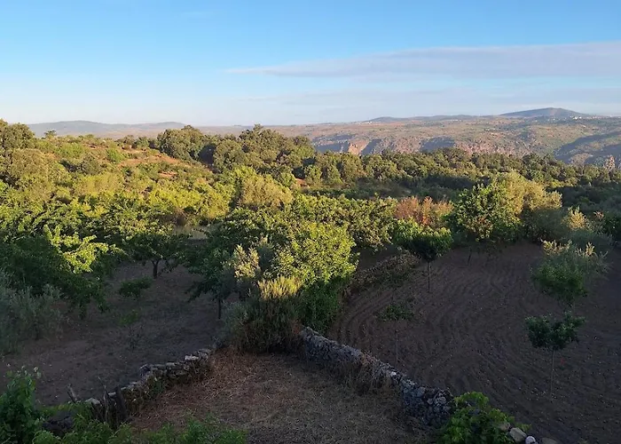 La Casa Del Cribero *